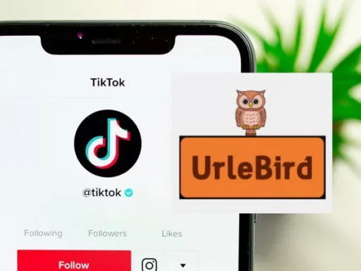 What is the Urlebird: A way to access TikTok Videos