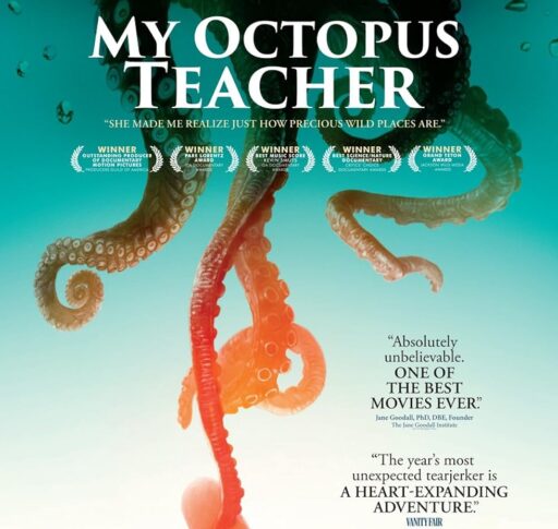 My Octopus Teacher: A Fascinating Dive into Nature's Wonders