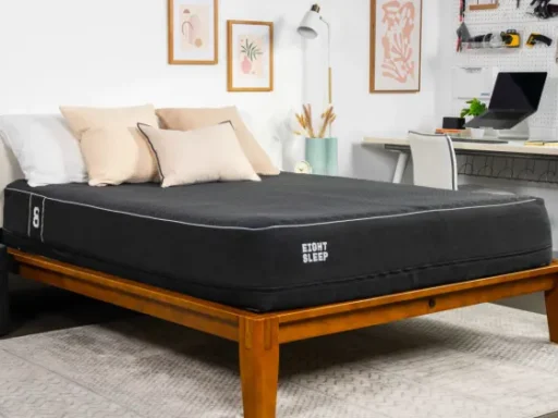 Eight Sleep The Ultimate Sleep Fitness Solution: Discussion on Eight Sleep's Pod and Reviews