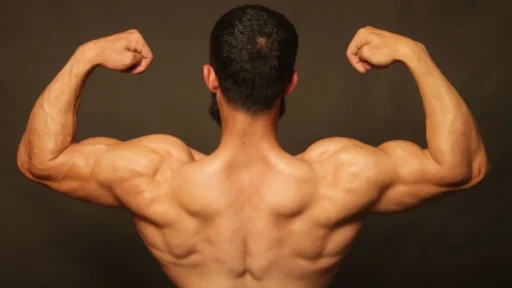 Wellhealthorganic.com : How To Gain Muscle @ Well Health Organic