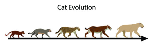 Which Best Describes Biogeographic Isolation?