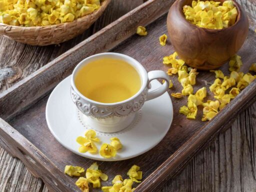 Mullein Tea And Its Advantages And Critical Impacts